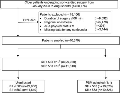 Systemic-Immune-Inflammation Index as a Promising Biomarker for Predicting Perioperative Ischemic Stroke in Older Patients Who Underwent Non-cardiac Surgery